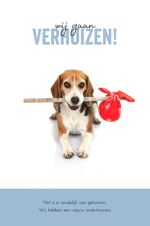 Grappige verhuiskaart met hond en een knapzak