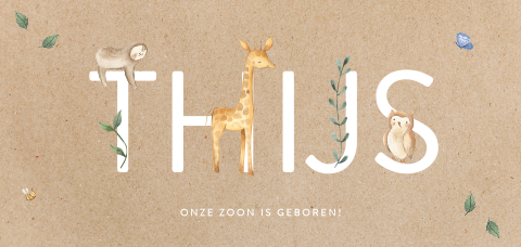 Dieren geboortekaartje jongen met giraf, olifant en uil