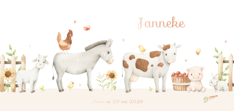 Boerderij geboortekaartje met rosegoudfolie en dieren