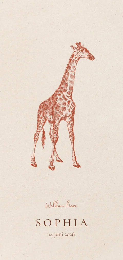 Geboortekaartje meisje met vintage giraf