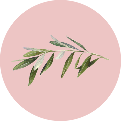 Roze sluitsticker met olijftakje