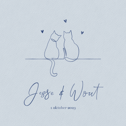 Blauw geboortekaartje tweeling jongens met twee katten