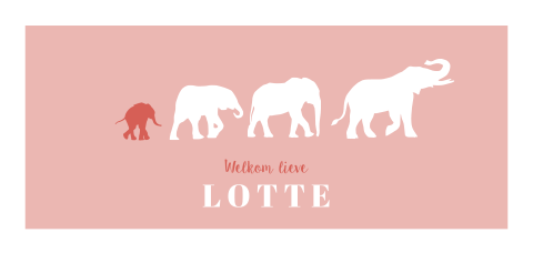 Zachtroze geboortekaartje met vier olifantjes