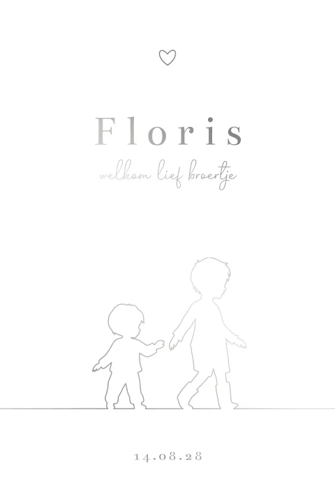 Klassiek geboortekaartje broertjes met zilveren lijntekeningen