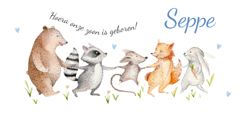 Schattig geboortekaartje met slinger van dieren voor een jongen