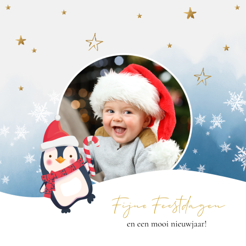Eerste kerstkaart baby met pinguin en foto