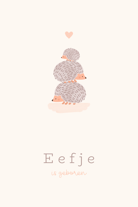 Beige geboortekaartje met egeltjes familie