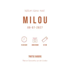 Geboortekaartje 2e kindje meisje met twee olifantjes