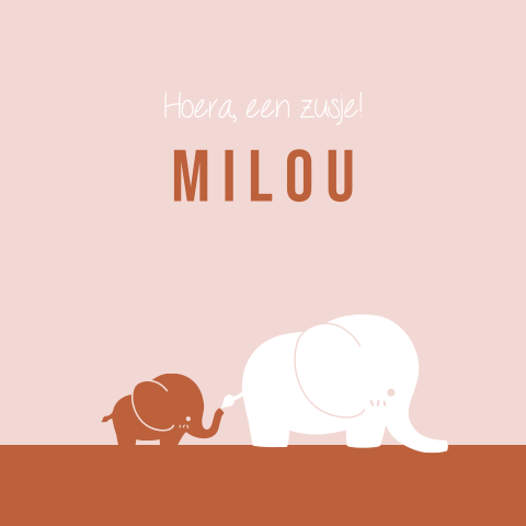 Geboortekaartje 2e kindje meisje met twee olifantjes