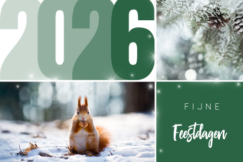 Groene kerstkaart natuurfoto met 2026