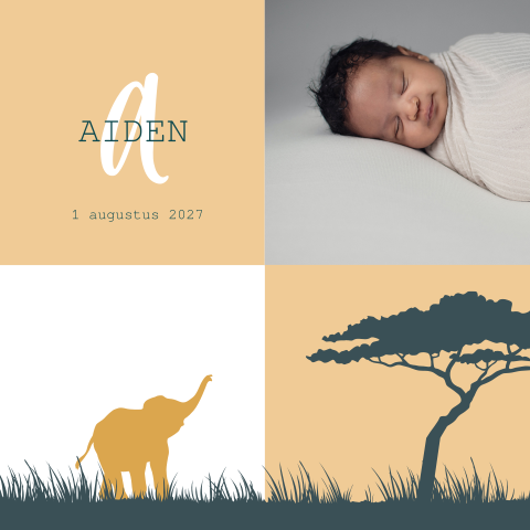 Geel unisex geboortekaartje met olifant silhouetje en foto