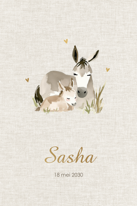 Lief geboortekaartje met moeder en baby ezeltje