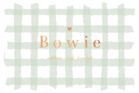 Koperfolie geboortekaartje met groene ruitjes