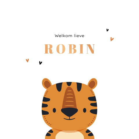 Unisex vierkant geboortekaartje met tijgertje