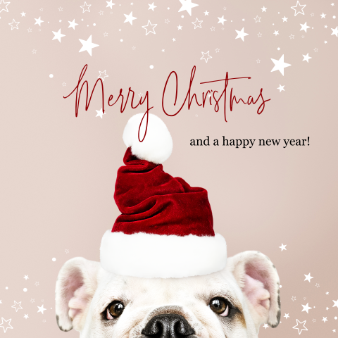Kerstkaart bulldog met kerstmuts
