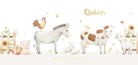 Boerderij geboortekaartje met goudfolie en dieren