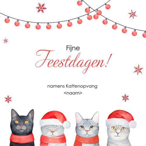 Kerstkaart met poezen en katten