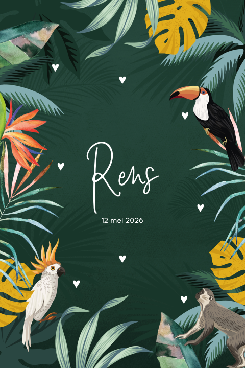 Jungle geboortekaartje unisex met tropische vogels en aapje