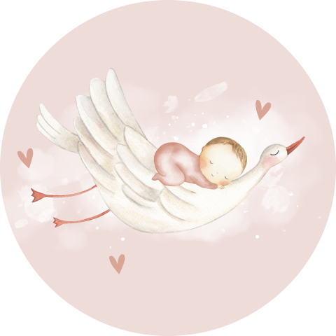 Lieve roze sluitsticker met ooievaar en baby