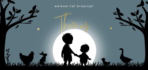 Geboortekaartje twee broertjes silhouet goudfolie