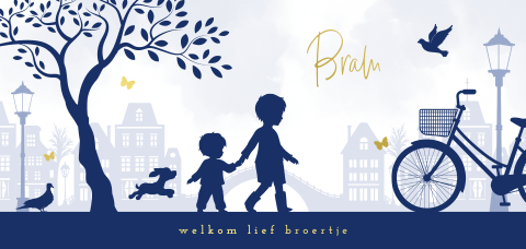 Hollands geboortekaartje met broertjes en stad