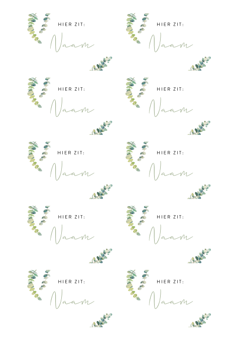 Kleine naamkaartjes met eucalyptus