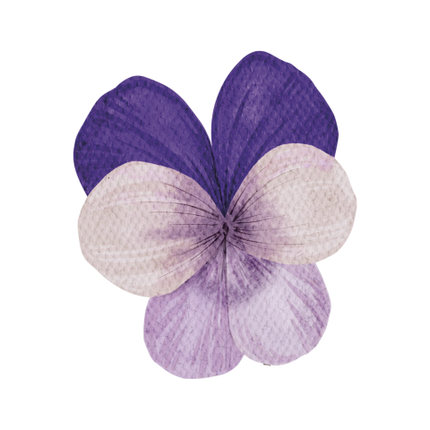 Witte sticker met paars viooltje