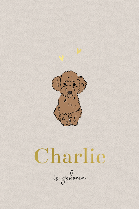 Geboortekaartje met bruine labradoodle pup