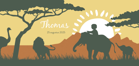 Zomer geboortekaartje met dieren als leeuw en olifant op de savanne