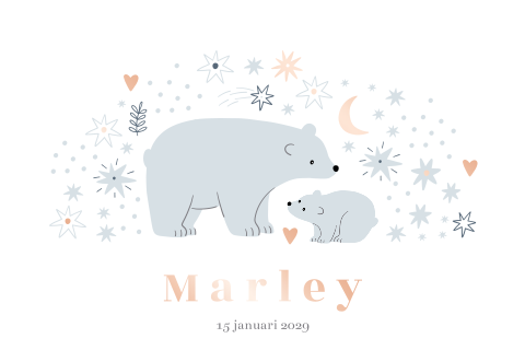 Winter geboortekaartje met twee ijsbeertjes