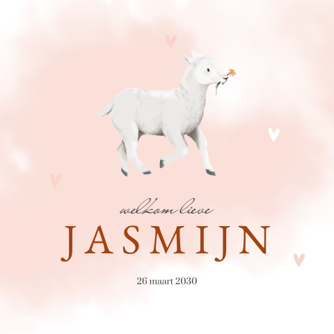 Lente geboortekaartje meisje met lammetje, roze waterverf en hartjes