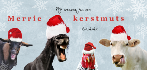 Grappige kerstkaart met boerderijdieren