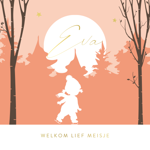 Winter geboortekaartje met silhouet meisje op schaatsen