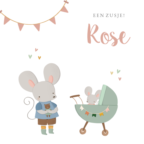 Geboortekaartje 2e kindje met twee muizen broer en zusje