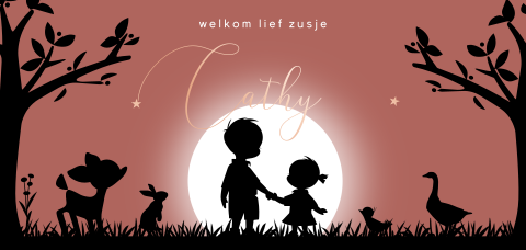 Geboortekaartje silhouet broer en zusje bij ondergaande zon