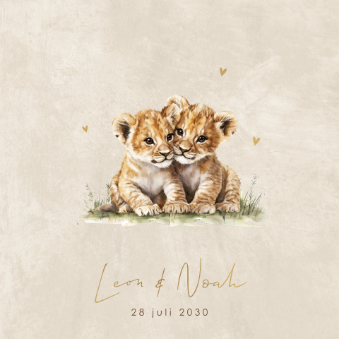 Geboortekaartje met twee leeuwtjes