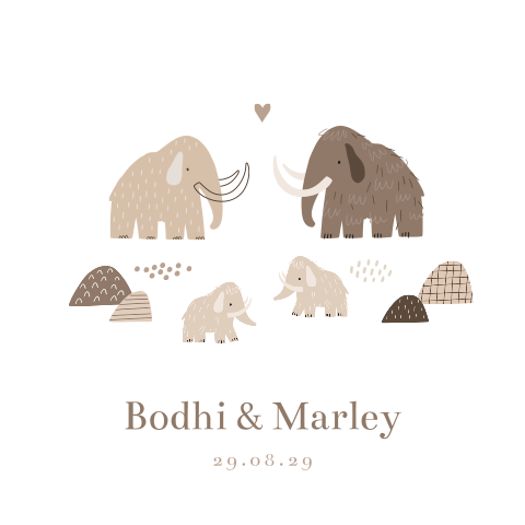 Tweeling geboortekaartje mammoet familie met twee babies