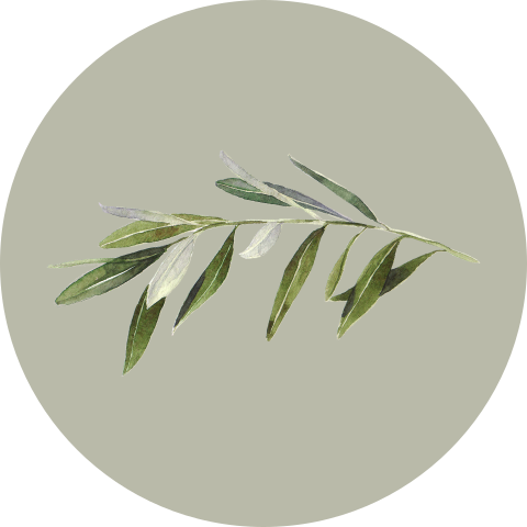 Groene sluitsticker met olijftakje