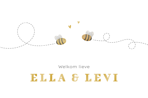 Tweeling geboortekaartje met twee bijtjes