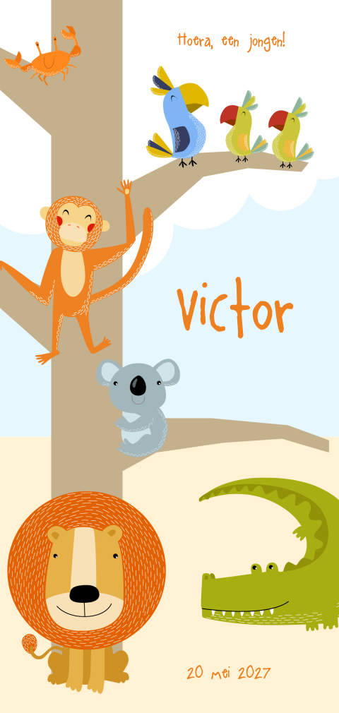 Vrolijk geboortekaartje met wilde dieren