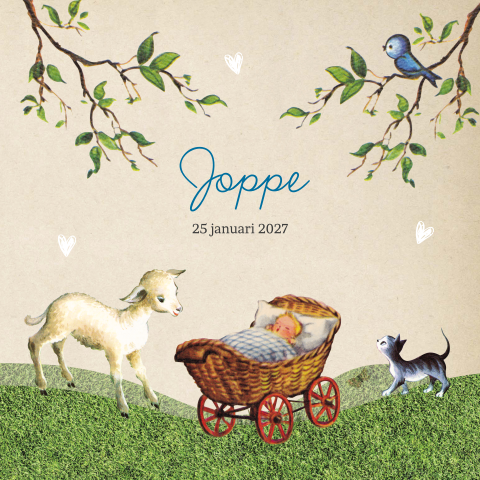 Nostalgisch geboortekaartje met lammetje bij kinderwagen