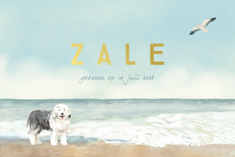 Geboortekaartje met waterverf hond op het strand