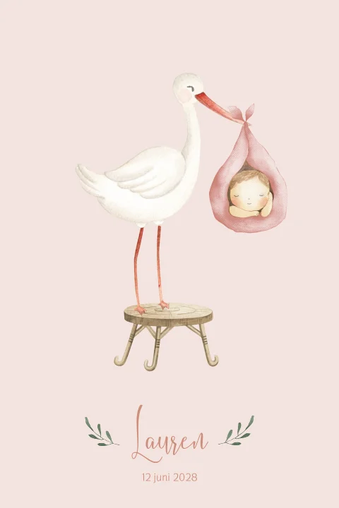 Lief geboortekaartje ooievaar met meisje in draagzak
