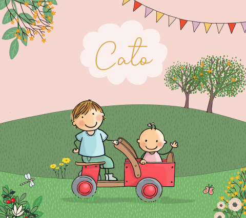 Geboortekaartje grote broer met baby zusje bakfiets