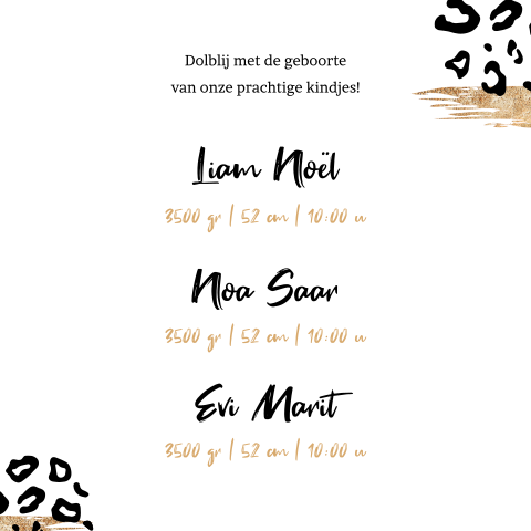Kaart binnenkant