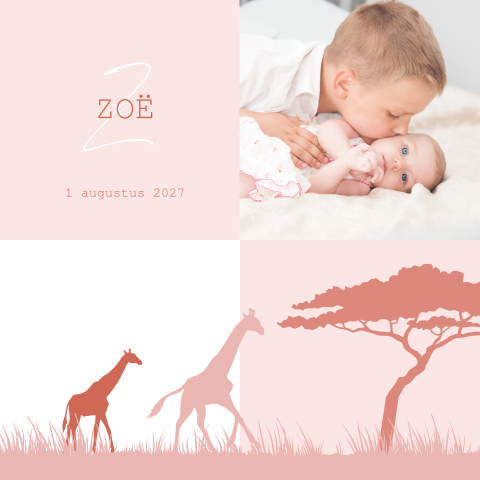 Roze geboortekaartje 2e kind meisje met foto en girafjes