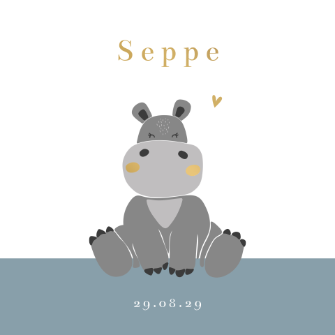 Lief geboortekaartje jongen met nijlpaard en mat goudfolie