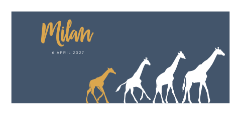 Donkerblauw geboortekaartje met vier girafjes