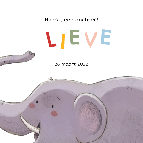 Geboortekaartje meisje met blije olifant
