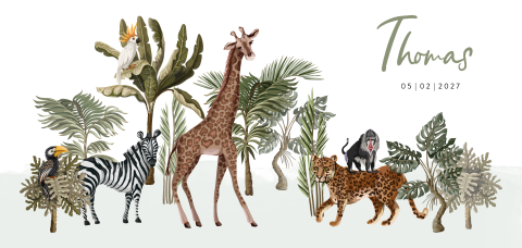 Safari geboortekaartje jongen met dieren als giraf tijger aap en zebra